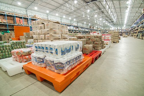 Pallet Plastico 500px3