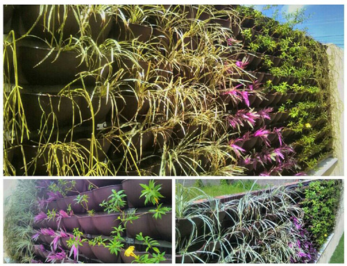 Casa Viva Arquitetura Sustentável