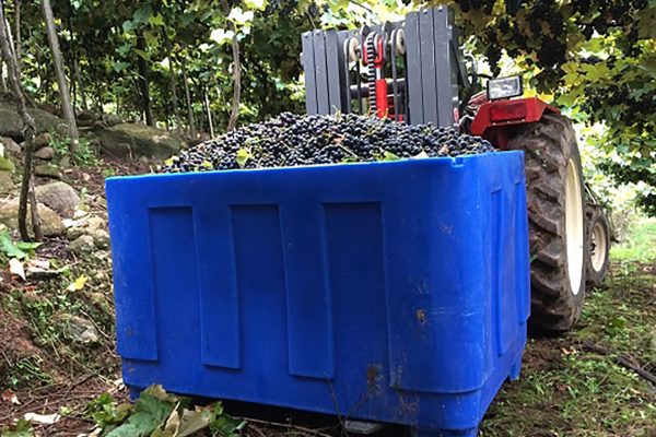 Contentores Plásticos Rotomoldados- A Evolução na Indústria Vinícola