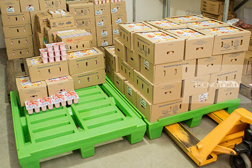 Pallet Plástico Tecnotri