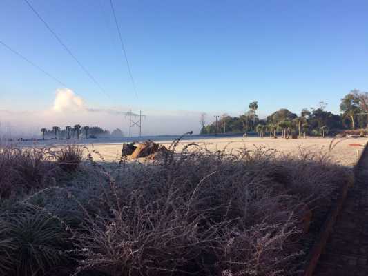 Frio Tecnotri 3