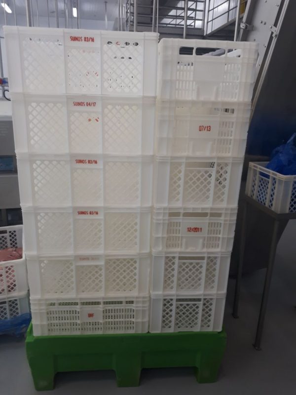 pallet plastico tecnotri PL 061