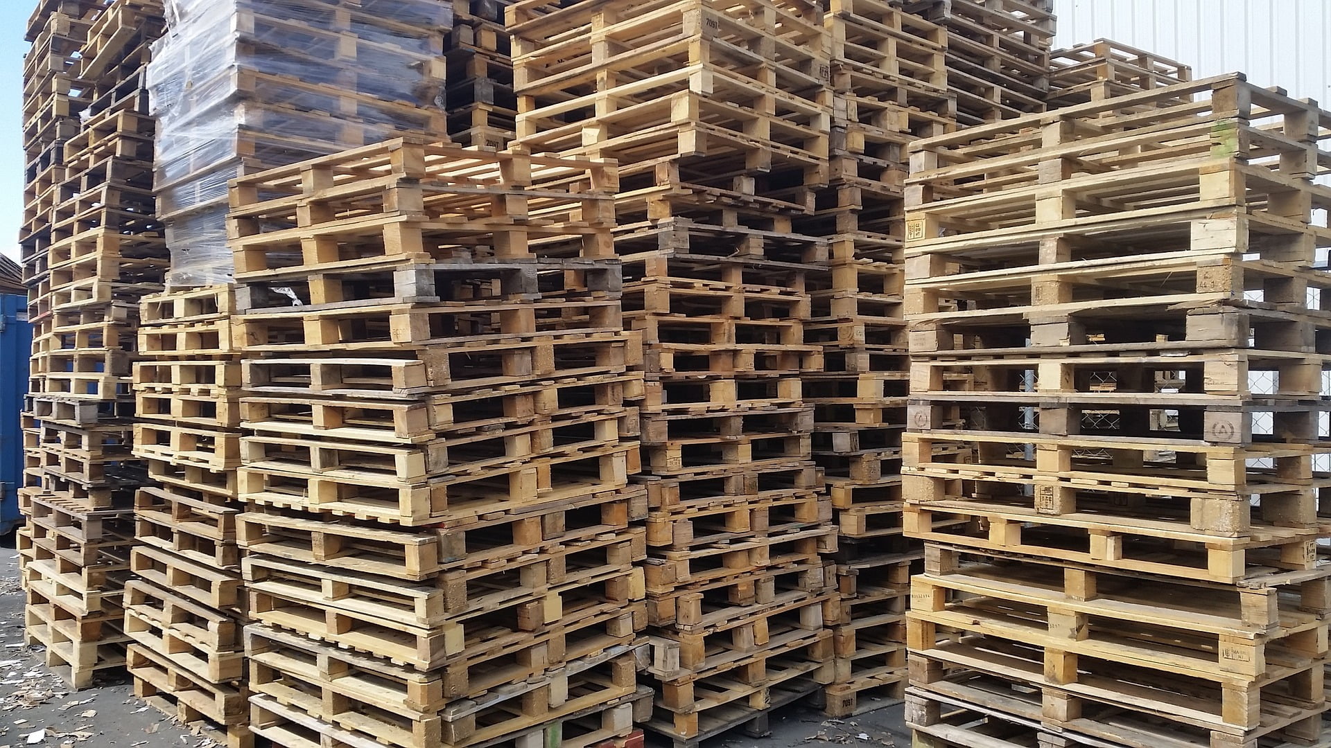 pallet de madeira fumigação