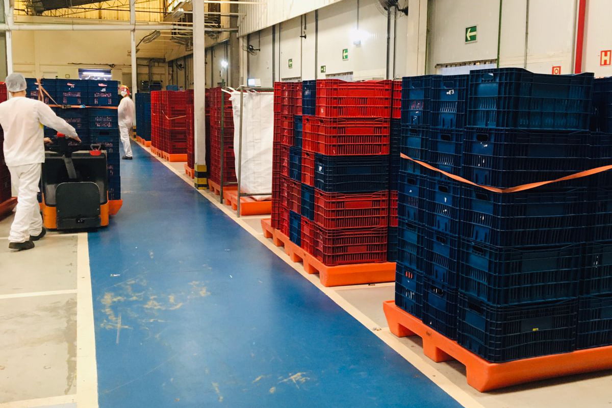 pallet_plástico_industria-1202x800