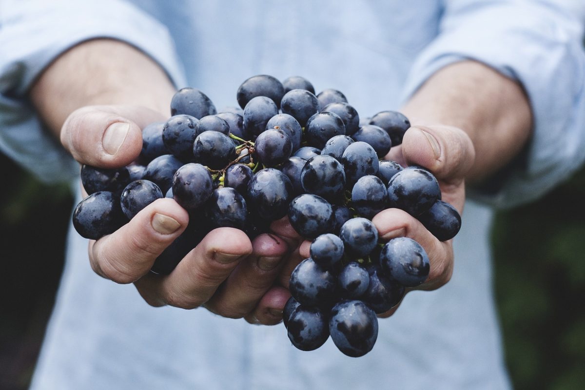 Grapes 690230 1920