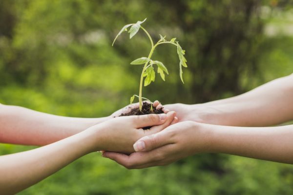 práticas sustentáveis na sua empresa
