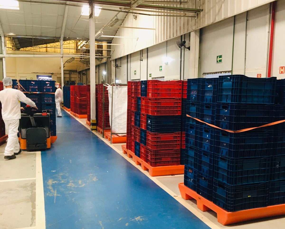 boas práticas de fabricação na indústria alimentícia - pallets plásticos - tecnotri