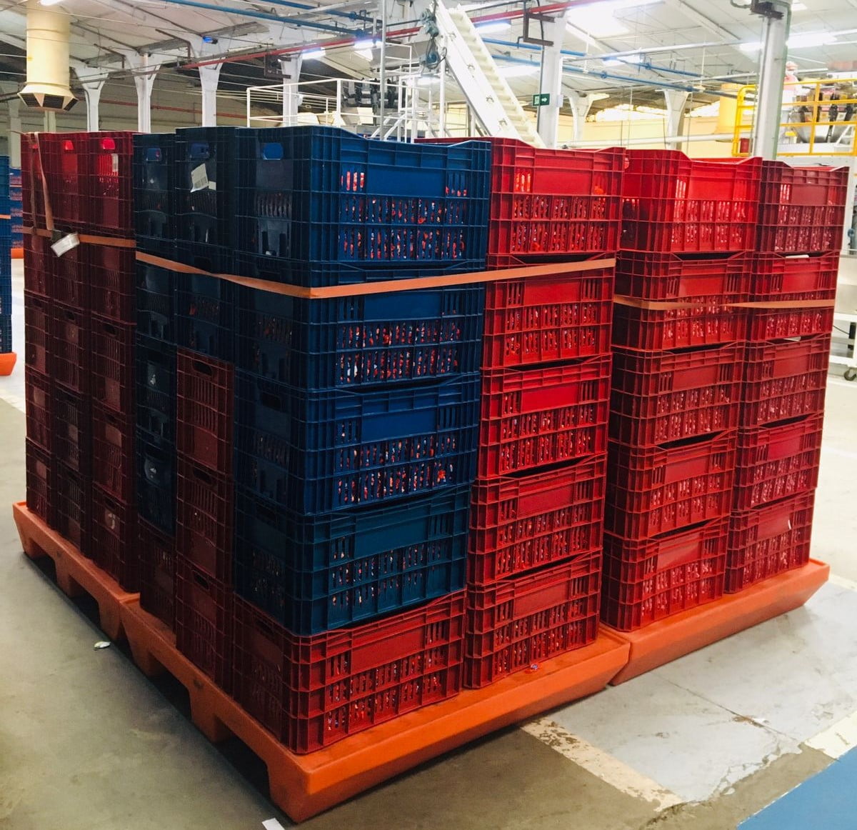 pallets plásticos - indústria de alimentos - tecnotri