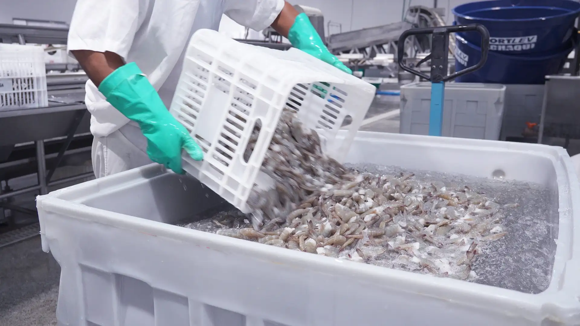 Solução para Pescado