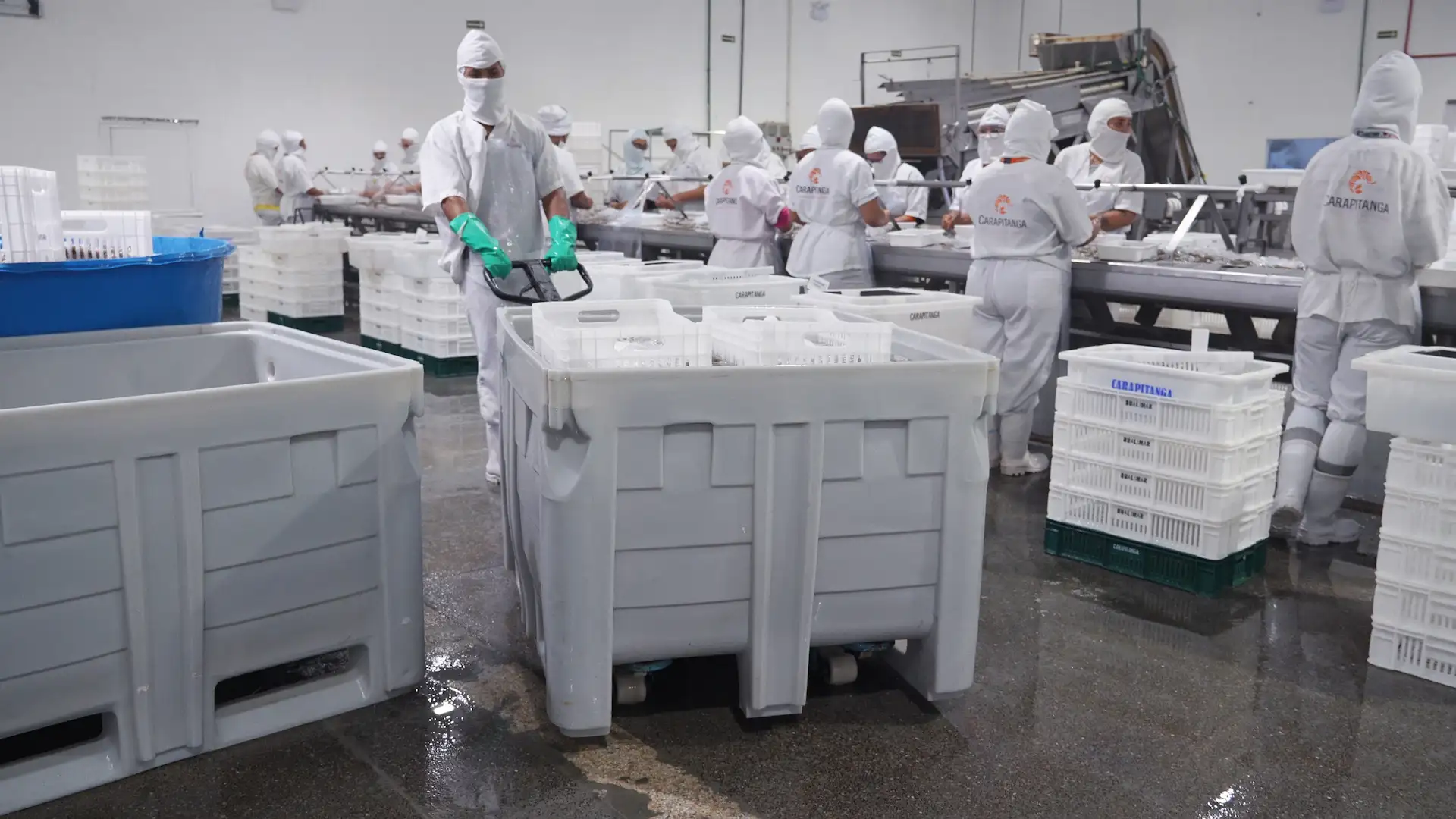 Solução para Pescado