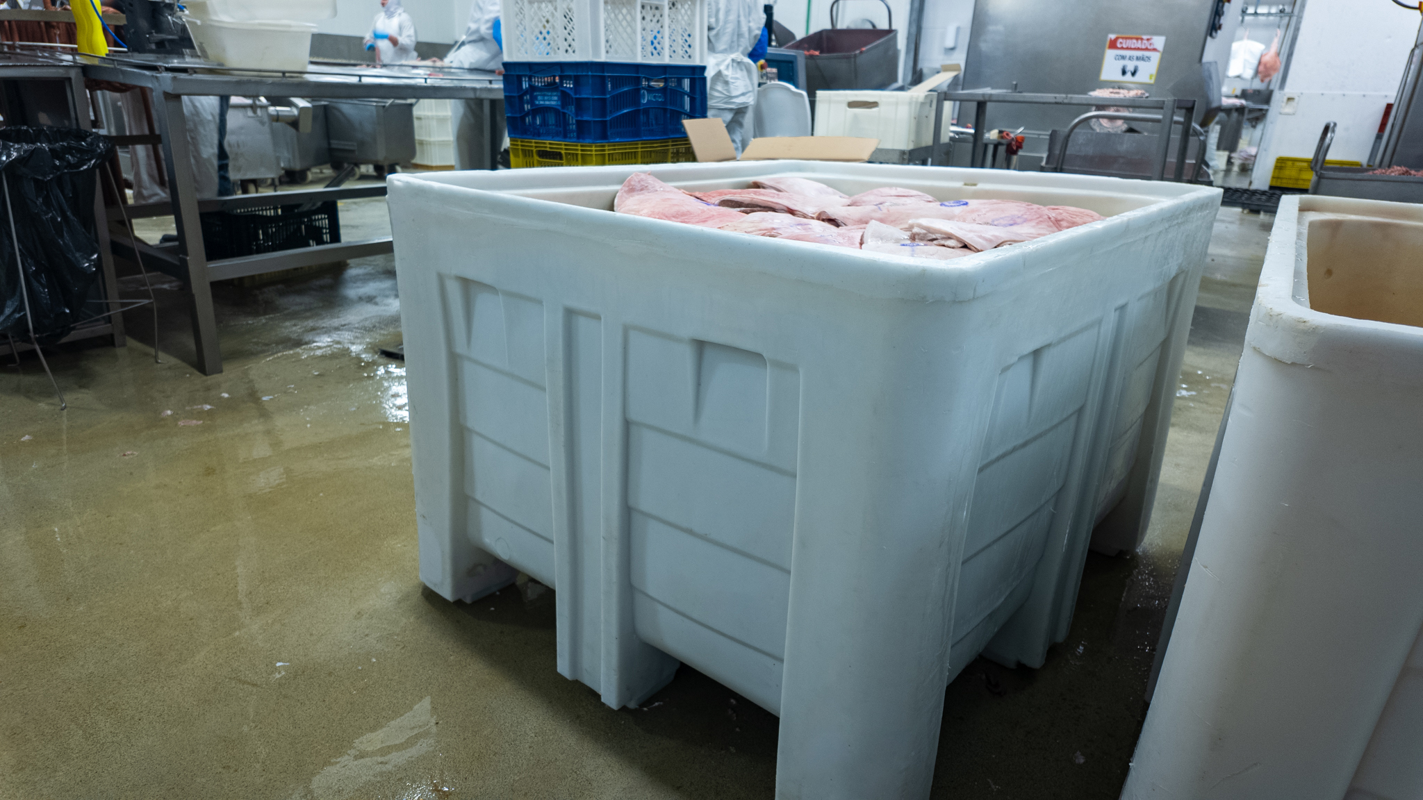 Contentores Bins
