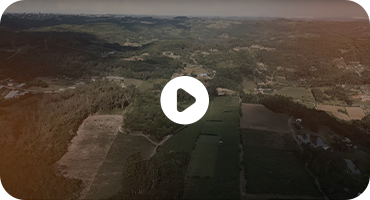 Tecnotri no campo, otimizando a colheita da uva com a família Pegoraro