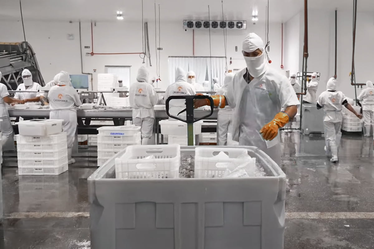 Saiba como a Carapitanga melhorou o seu armazenamento com ajuda da Tecnotri