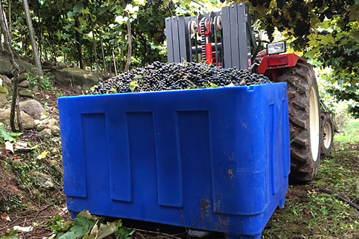 Contentores Plásticos Rotomoldados: A Evolução na Indústria Vinícola