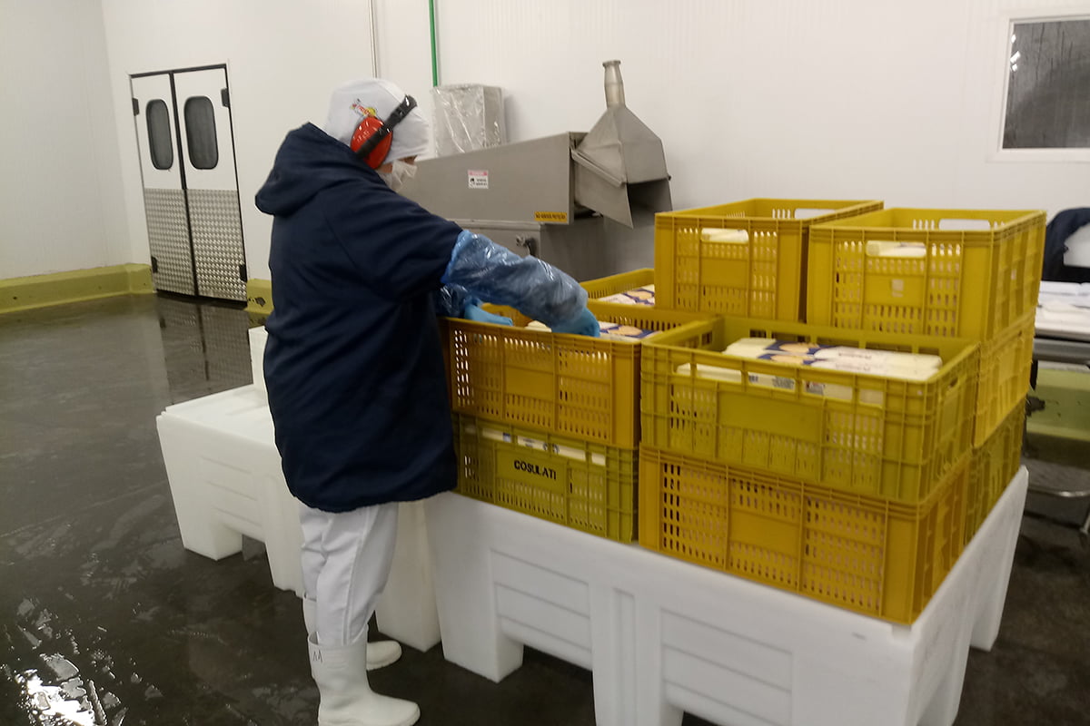 Como aplicar ergonomia na logística e evitar LER