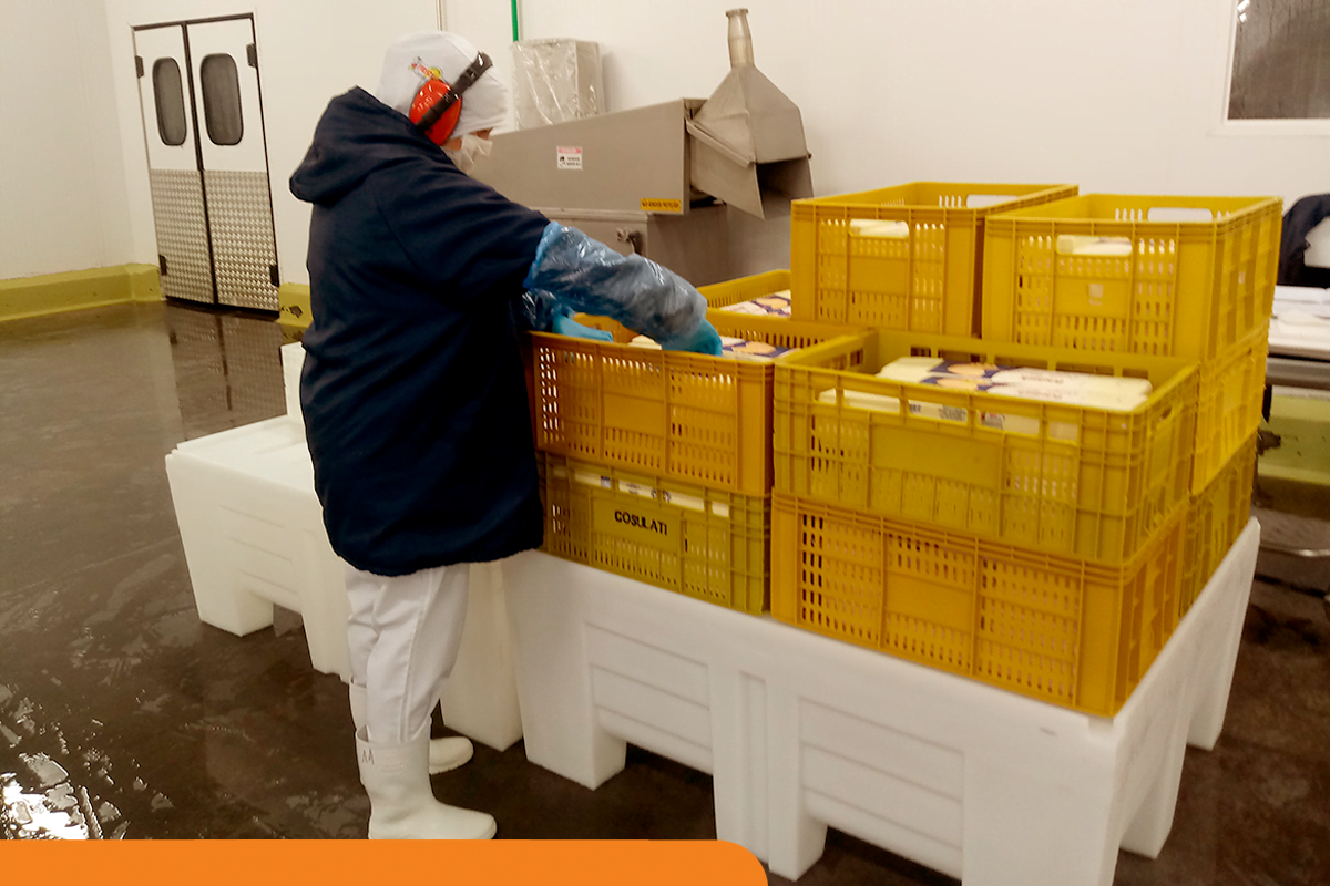 NR 6: entenda o objetivo da norma e o papel do pallet plástico na regulamentação