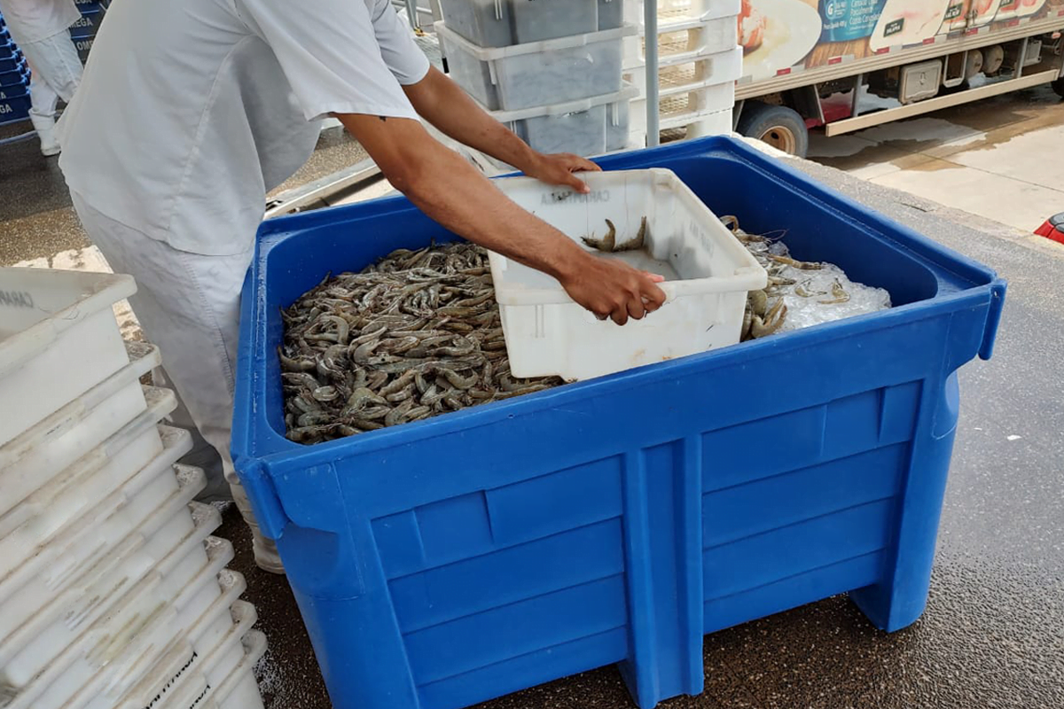 Contentores plásticos na prática: entenda mais sobre a versatilidade desses produtos
