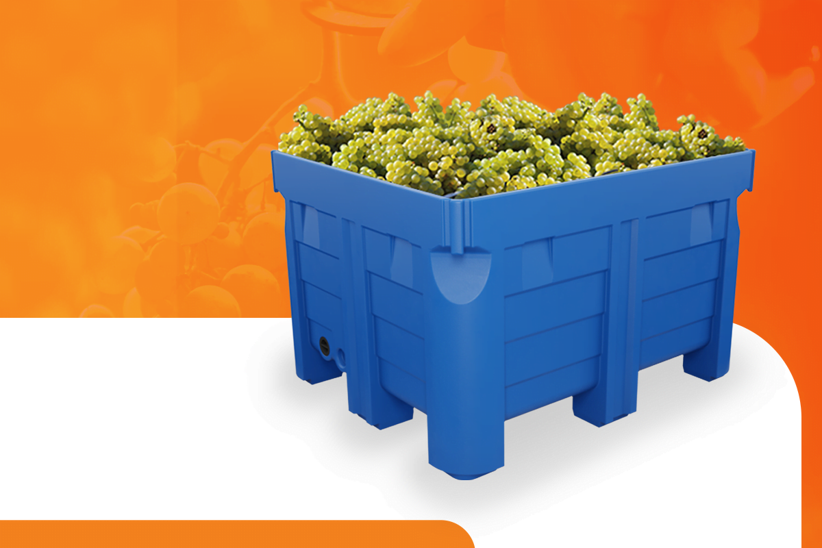 Dicas para armazenar alimentos de maneira correta