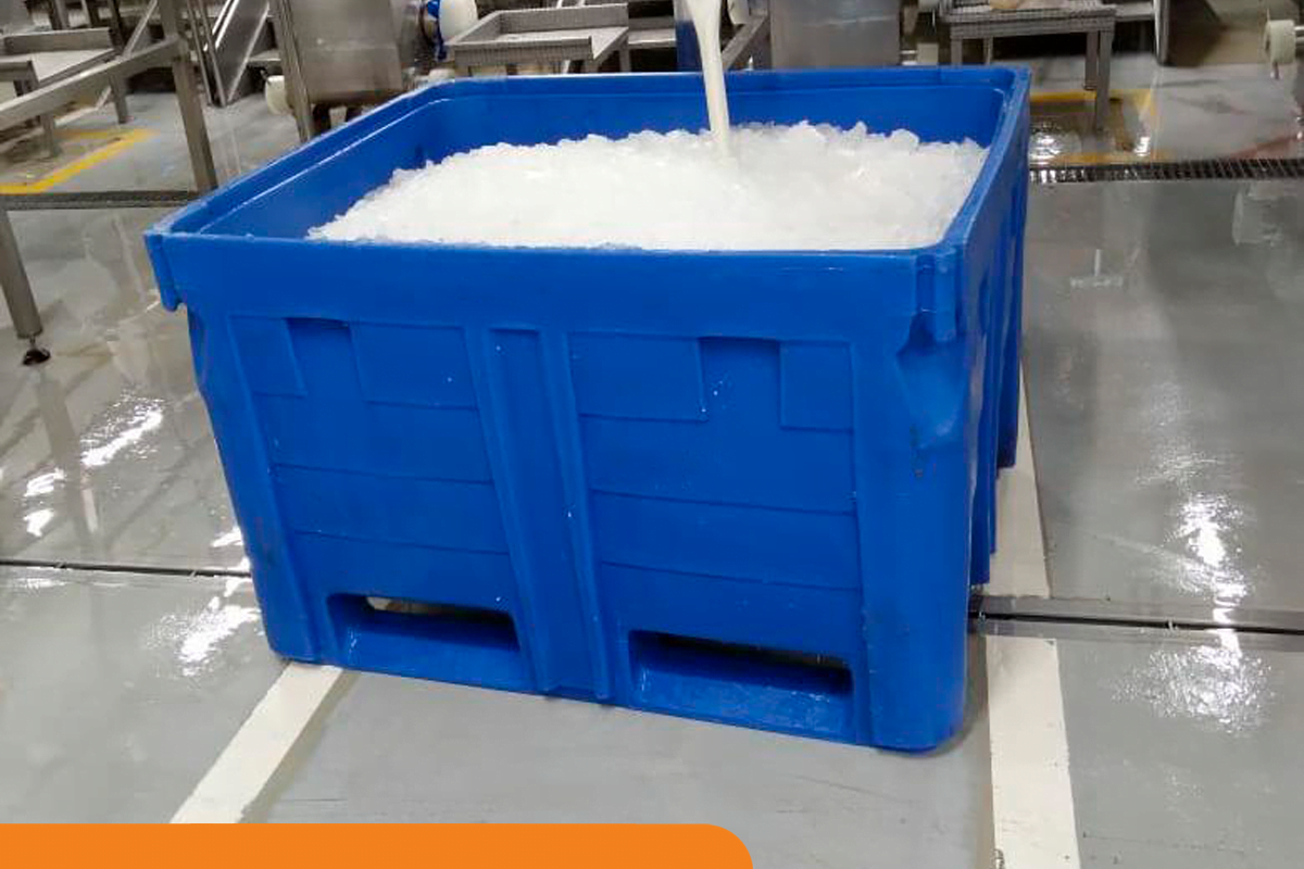 Por que utilizar contentores plásticos no setor frigorífico?