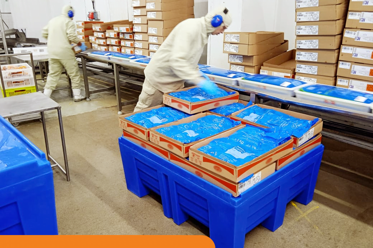 Ergonomia na indústria: a importância da NR 17