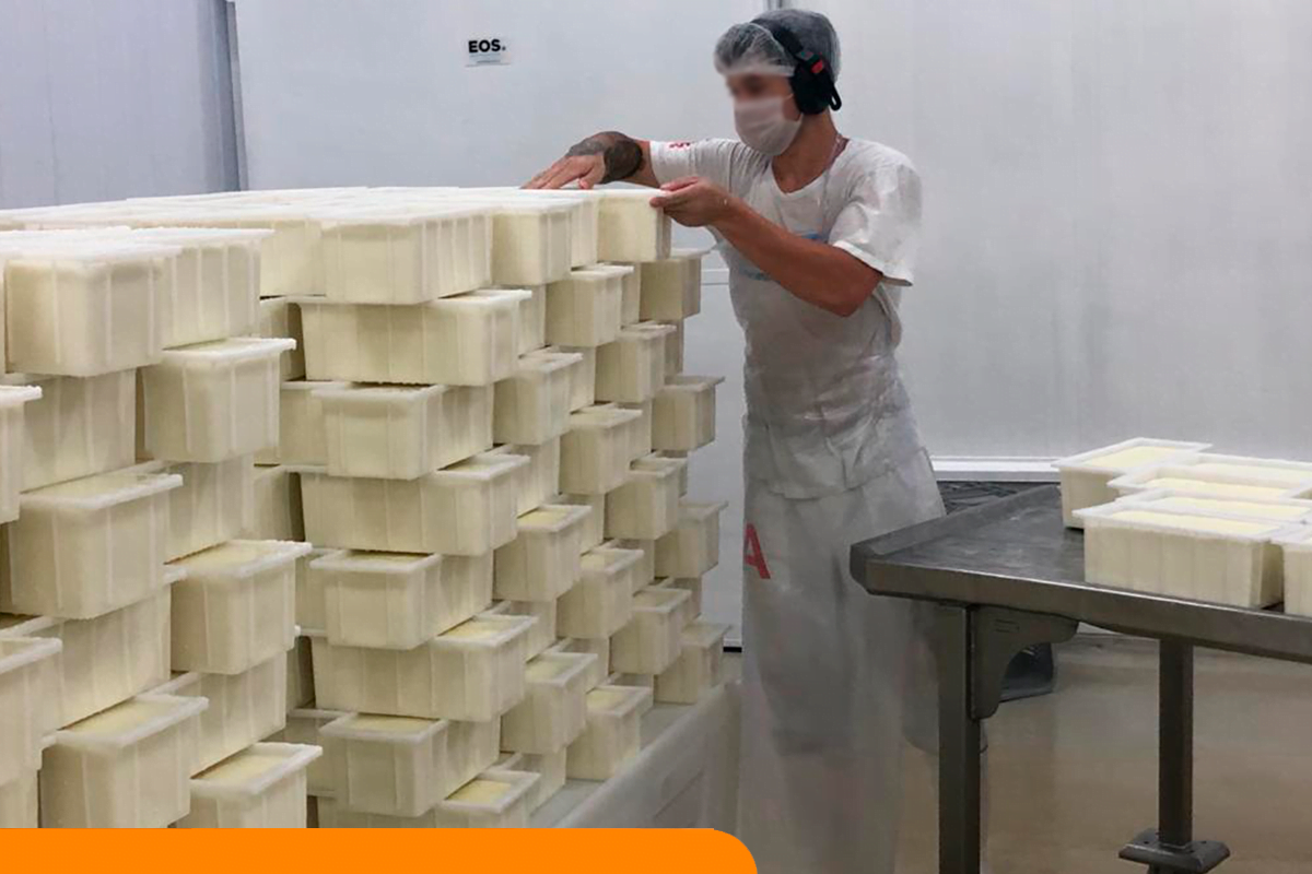 Semana da Segurança do Trabalho: como a Tecnotri pode ajudar a implementar a ergonomia na sua empresa?