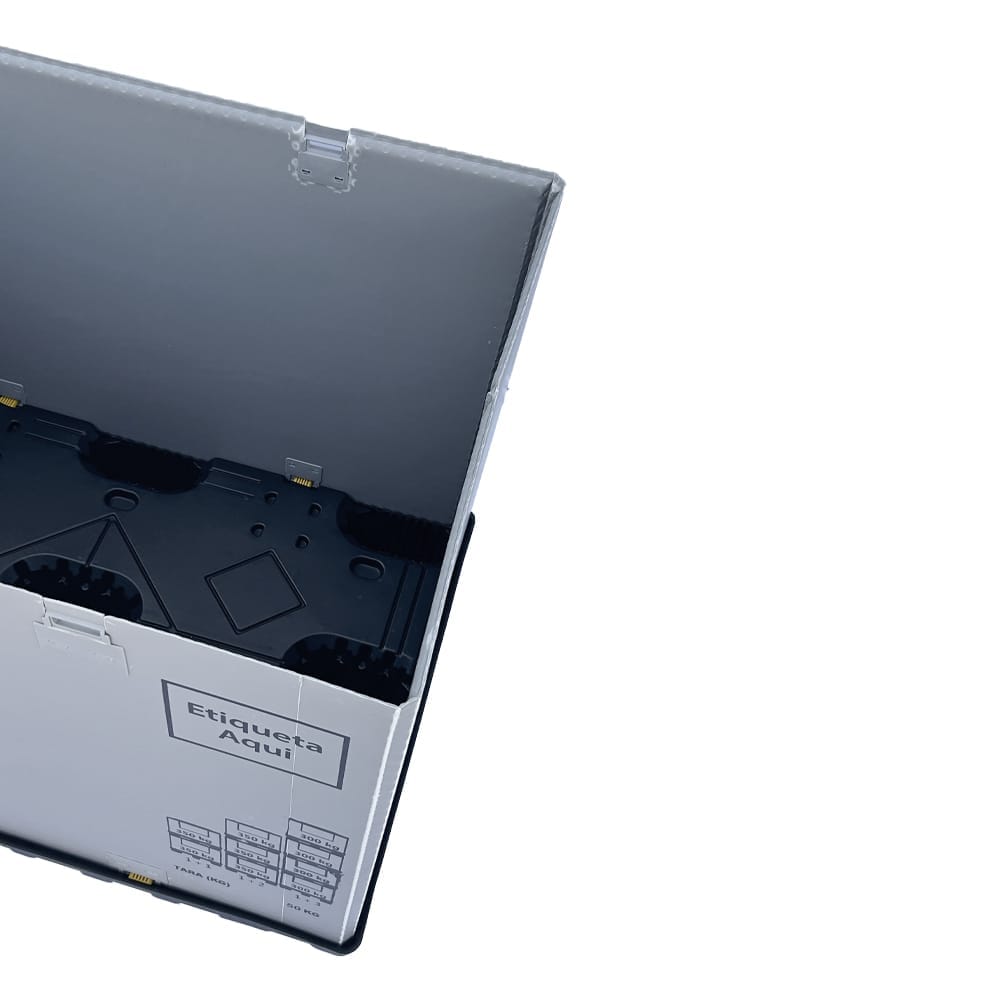 <p>informações e características</p>
