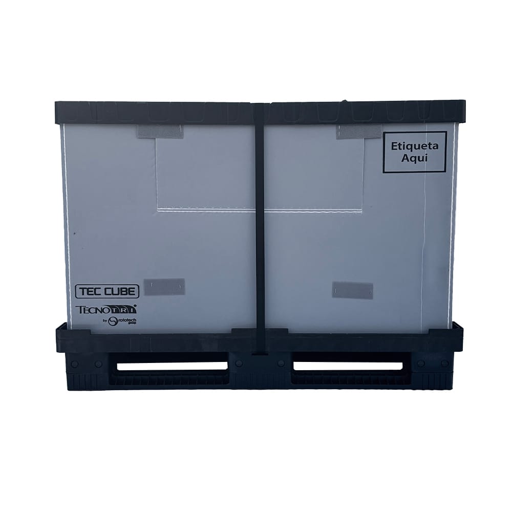 <p>informações e características</p>
