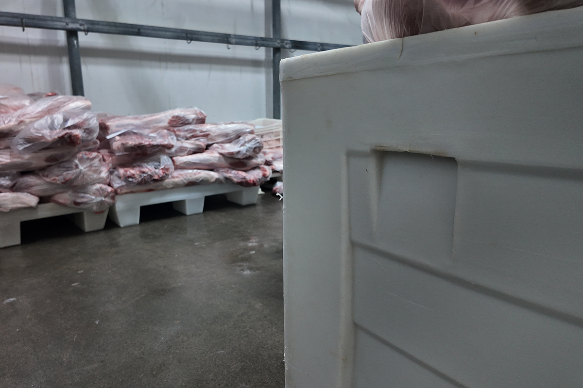 Como planejar o uso de contentores e pallets para 2026?